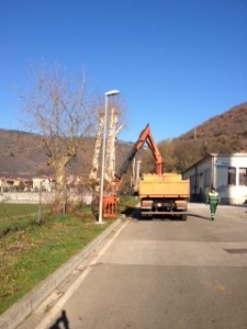 orezivanje raša 2