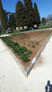 image-0-02-05-a2211307836717c42f24c1b0561db12d8a6f60c15cd8d85bbcb820bda44fbf40-V