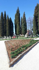 image-0-02-05-a97d32b3ba68a8b18e160c696a76918111e5a6a98081d4dee18eb7c06970a224-V