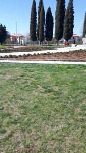 image-0-02-05-e770aa93dc013dae2745f52739e6ce1b3fd954e31ce31bca1d1b79af06deb4ed-V